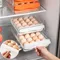 Double Layer Egg Storage Container Plastic Refrigerator Organizer with Drawer Design Kitchen Household Fresh Keeping Box