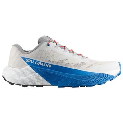 Salomon - Pulsar - Trailrunningschuhe 40 2/3 | EU 40,5 grau Image