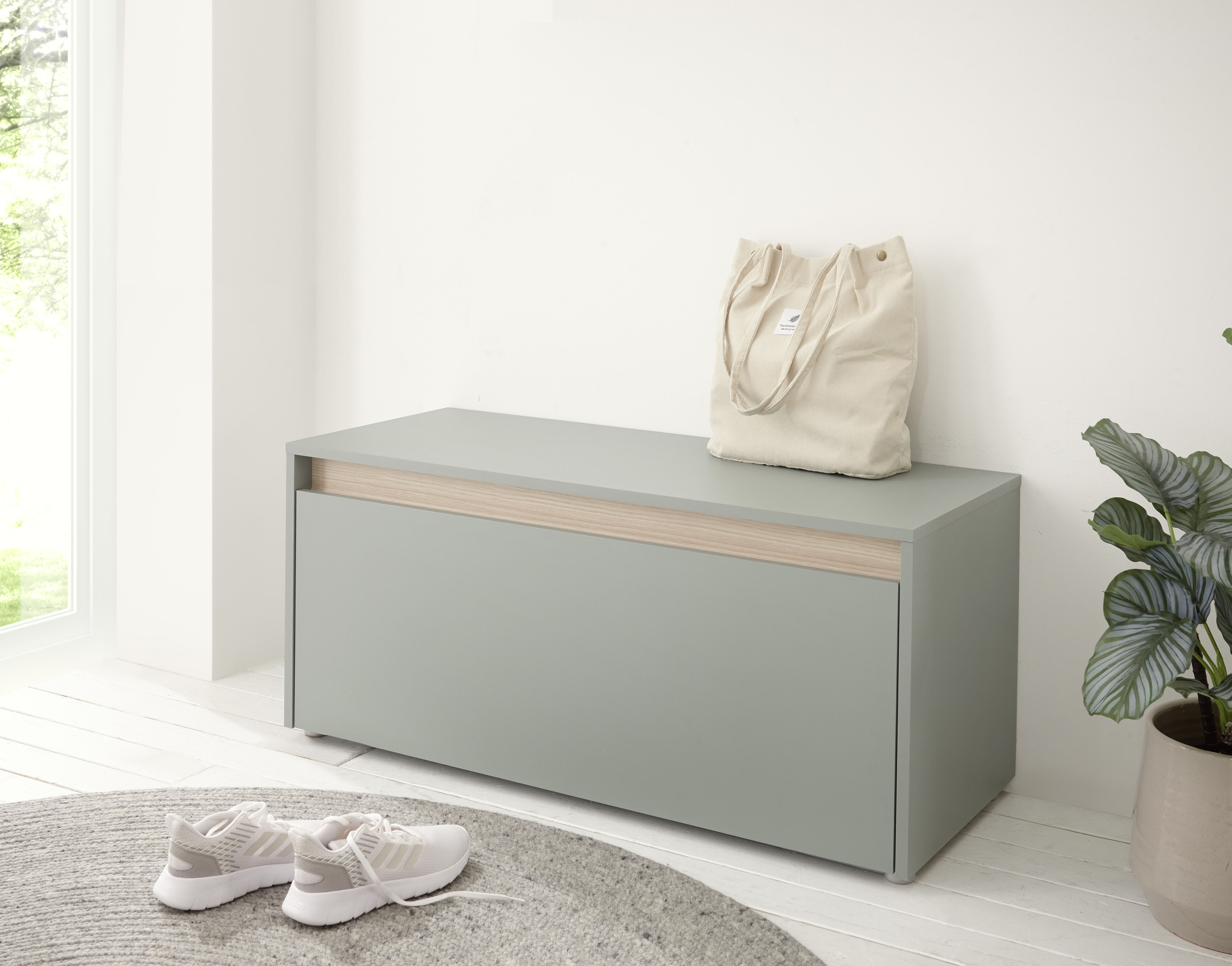 Schuhbank INOSIGN "GiRON/CiTY, Garderobenbank mit Klappe, Sitzbank in vier Farben", grün (grün aloe), B:100cm H:45cm T:40cm, FSC-zertifizierter Holzwerkstoff, Sitzbänke, Schuhbank, viel Stauraum, Platz für ca. 8 Paar Schuhe, 100 cm breit