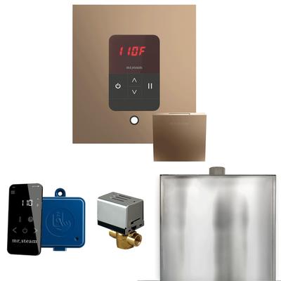 Mr Steam BBS Basic Butler Package Steam Shower Control Package with