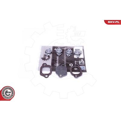 Esen Skv Reparatursatz, Saugrohrmodul [Hersteller-Nr. 49SKV529] für Alfa Romeo, Fiat, Jeep, Opel, Saab, Vauxhall Image