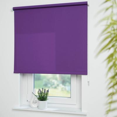 Seitenzugrollo LIEDECO "Uni" Gr. 16, lila (brombeere), B:192cm H:180cm, Polyester, Rollos, Montage ohne Bohren zum Klemmen mit separatem Klemmträger möglich Image