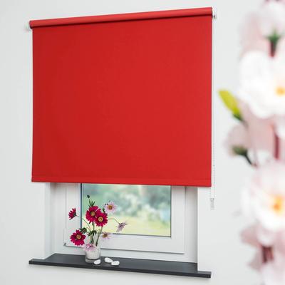 Seitenzugrollo LIEDECO "Uni" Gr. 11, rot, B:92cm H:240cm, Polyester, Rollos Image