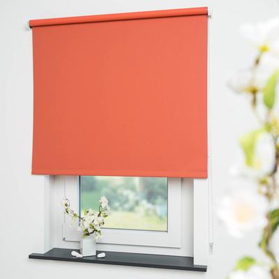 Seitenzugrollo LIEDECO "Uni" Gr. 15, orange (terra), B:152cm H:180cm, Polyester, Rollos Image