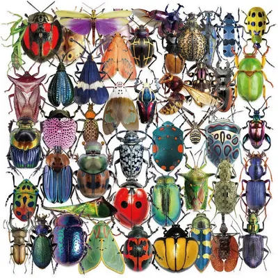50 Stück transparentes Cartoon-Insekten-Aufkleberpaket – wasserdichtes, klares PET für Sammelalbum, Gitarre und Notizbuch-Dekoration (Anime Worlds Store) Image