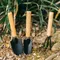 Ensemble de Mini outils de jardin, truelle à main en acier inoxydable, râteau, pelle pour Pot de fleur, plantation, Kit de désherbage Compact, 3 pièces