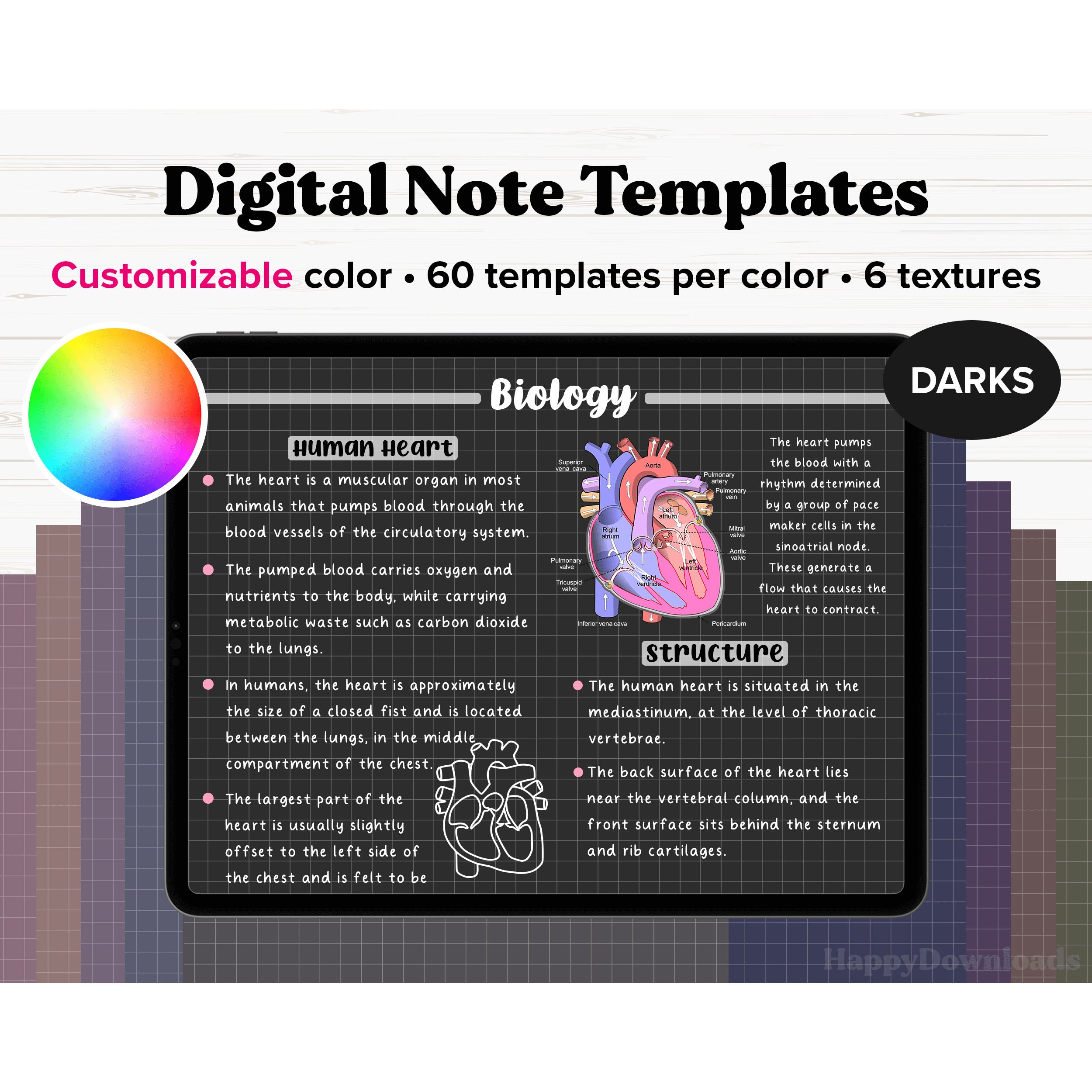 Modelli di carta per appunti digitale, fogli per appunti digitali, modello per prendere appunti su iPad, quaderno per studenti, quaderno digitale per