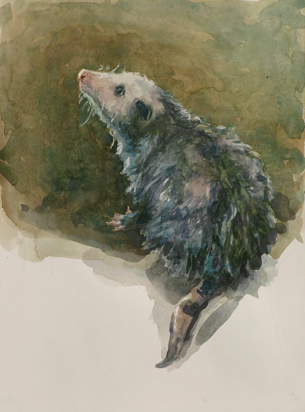 Opossum, stampa da acquerello di LVP, XL - 13 x 17,5 pollici / L - 11 x 14,8 pollici / M - 8,1 x 11 pollici / S - 5 x 6,8 pollici