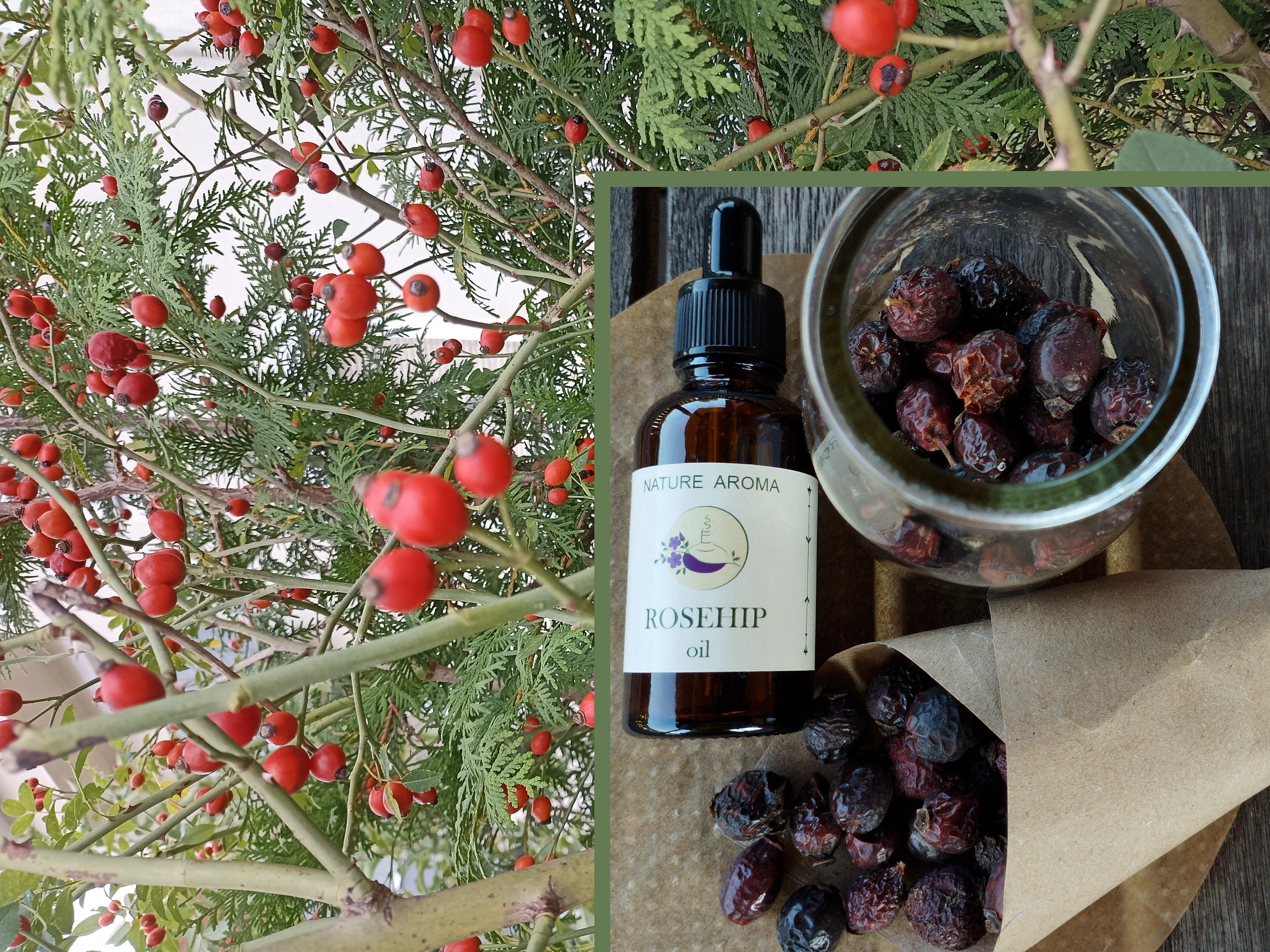 OLIO DI ROSA CANINA, 100% puro non raffinato, olio di rosa canina extra vergine, olio biologico, idratante per pelle, viso, corpo, capelli, riduce lin