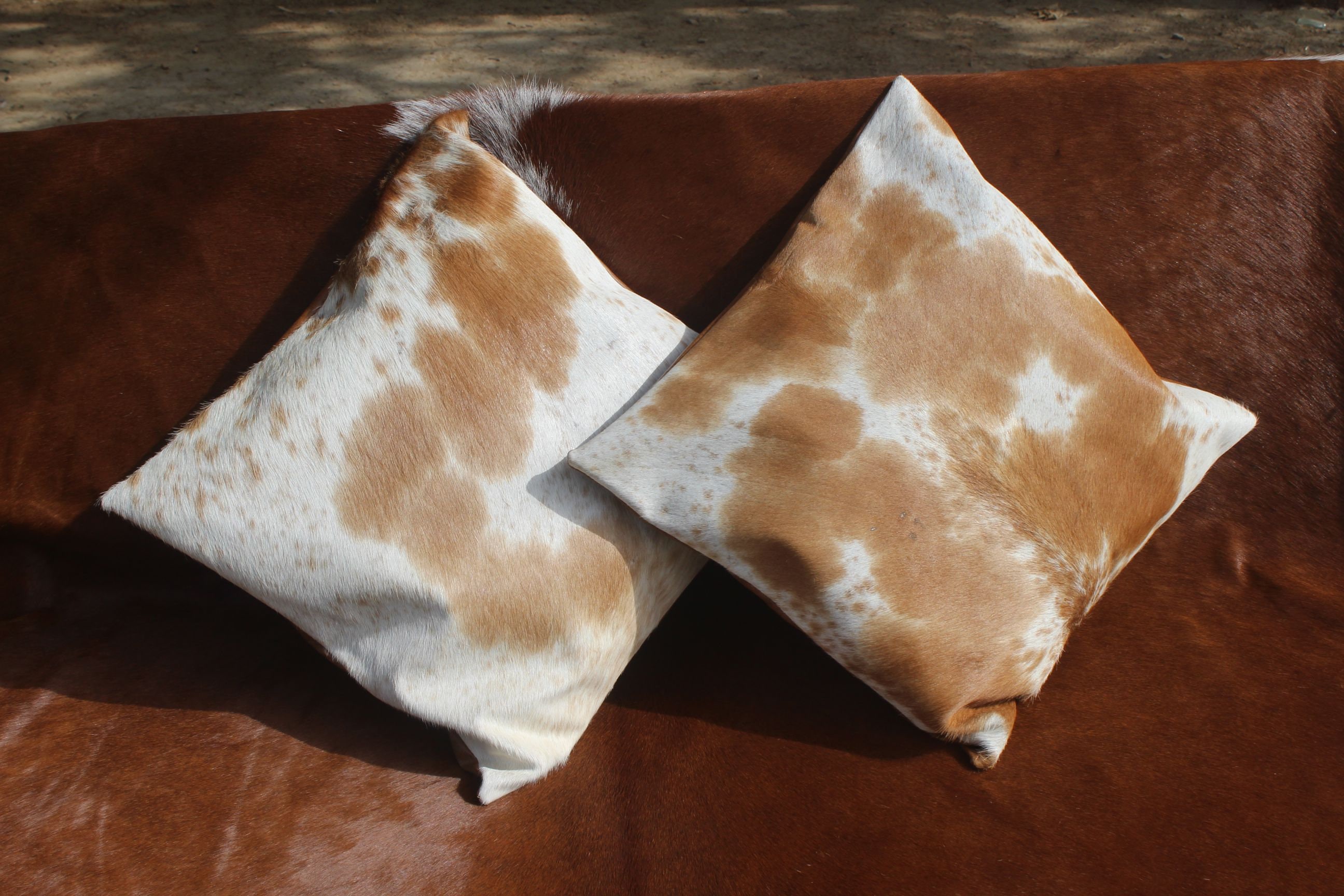 Federe in pelle bovina Marrone Bianco Vacchetta Copricuscino Copertura cuscino Vera pelle bovina Fodera 16 x 16 Set di 2