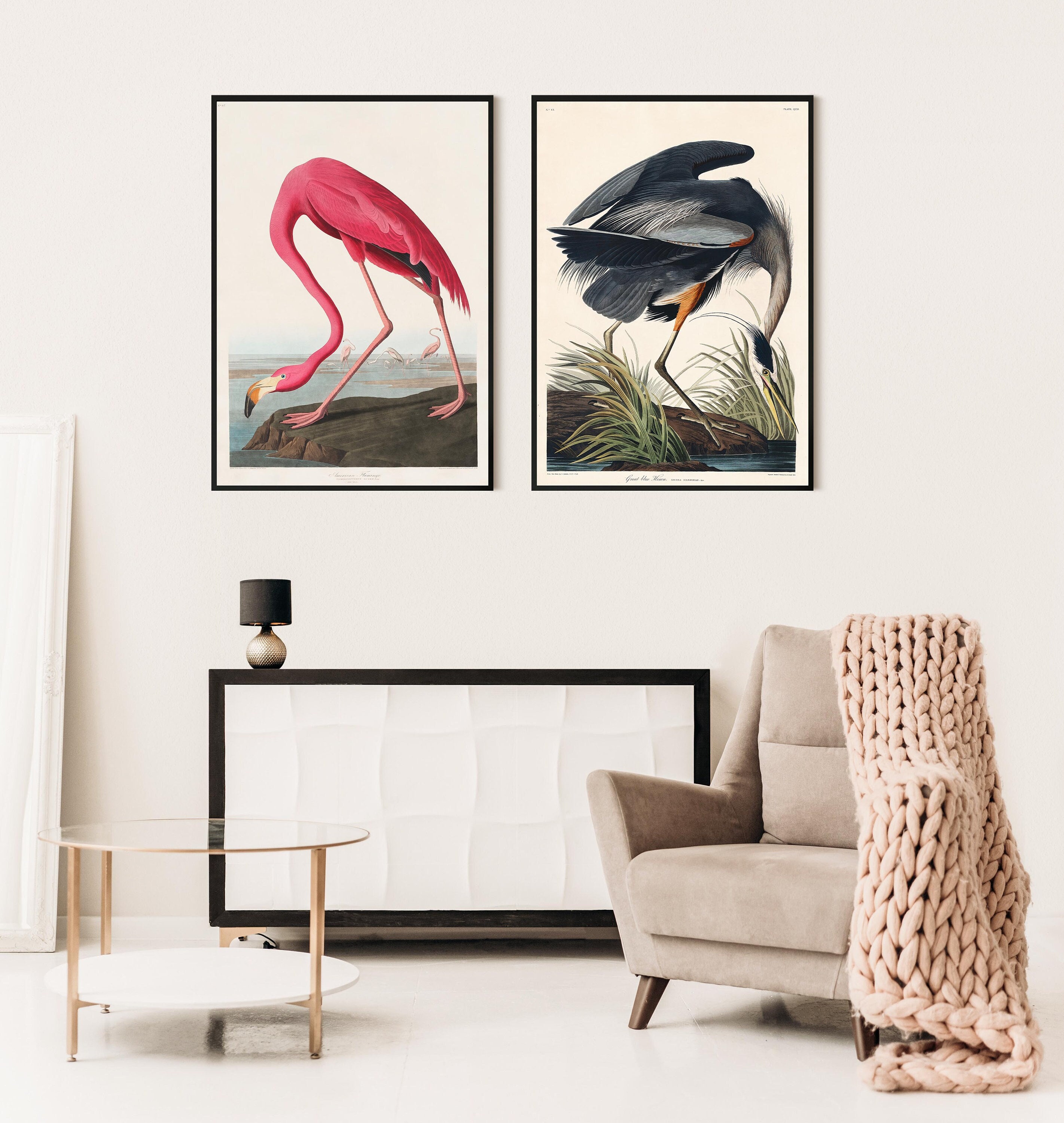 John J. Audubon Set di 2 stampe d'arte, stampe d'arte di uccelli, arte moderna, stampa di uccelli, arte moderna, decorazione d'arte da parete, stampa