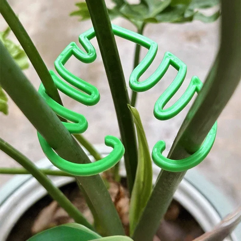 2-teilige Pflanzenstielstütze, Grapple-Halter, einzigartiges Design für Kletterpflanzen, Schildkrötenpanzer-Bambus-Klemm-Set, ideale Pflanzenstütze Image