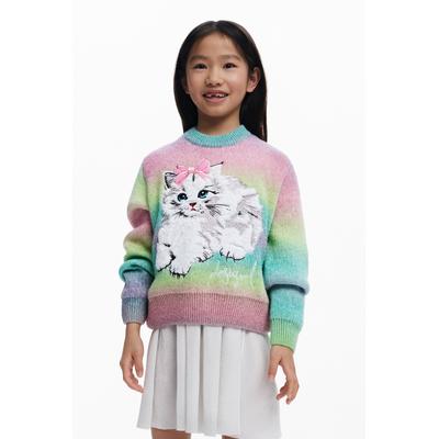 Rainbow cat sweater