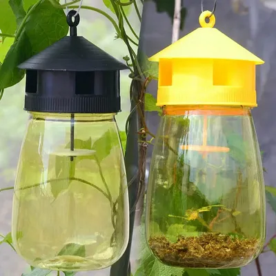 1PCS Wasp Trap Fruit Fly Flies Insect Bug Hanging Honey-Trap Catcher Killer No-Poison Hanging Tree Pest Control Tool