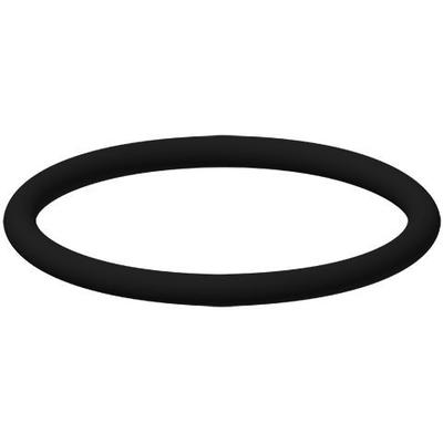 KWC Aquarotter O-Ring, 22x2mm, 2000104616 , 2000104616 2000104616 Image