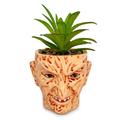 vasi per piante con teste spaventose, vasi per piante grasse con piccoli fiori e viso, vasi con foro di drenaggio per interni ed esterni, decorazioni per Halloween, resina