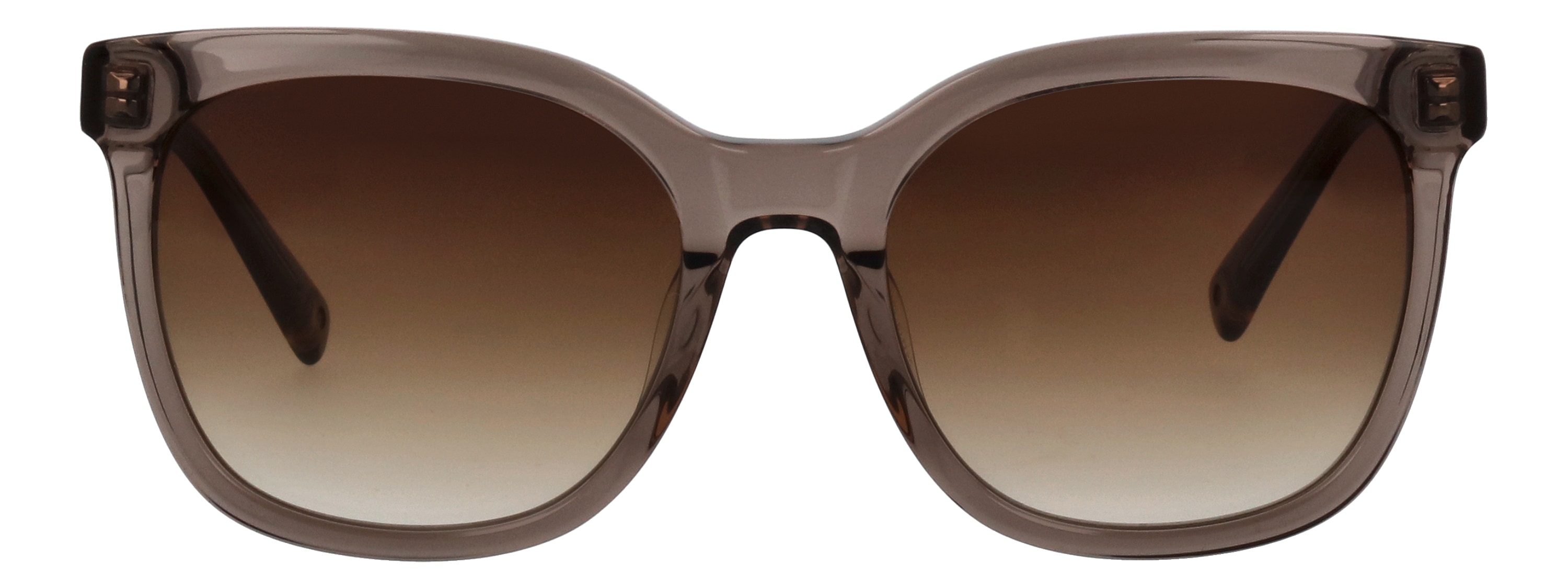 Sonnenbrille BRENDEL EYEWEAR "BRENDEL eyewear Sonnenbrille", Damen, Gr. onesize, beige (lässiges taupe), Sonnenbrillen Image