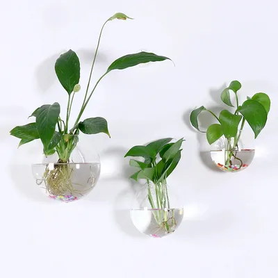 2/4/6/8 Pack Wall Hanging Glass Terrari2um - Self-Watering Hydroponic Planter for Home Office Decor, Handmade Round Crystal Vase
