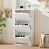 Schmales Schuhregal, Schuhschrank, weißer Schuhschrank, geeignet für Flur-Wohnzimmer, weiß, Größe: 60 x 24 x 114 cm