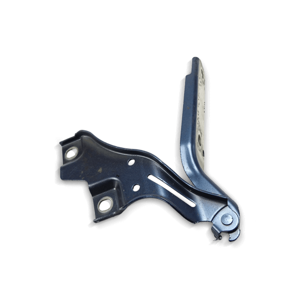 NTY Scharnier, Motorhaube CHEVROLET EZC-PL-113 96417504,96548998 Image