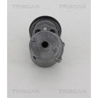 Triscan Spannarm, Keilrippenriemen [Hersteller-Nr. 8641803005] für Chrysler, Dodge, Jeep Image