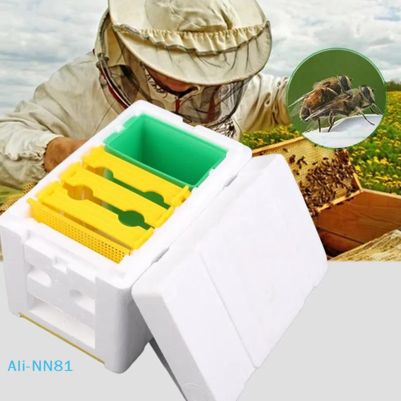 【N】Bienenkönigin-Zuchtbox, Bienen-Paarungsbox, Schaumstoff, Bienenstock-Box, Imker, Garten, Bestäubung, Zuchtetui, Imkereiausrüstung Image