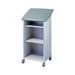 Peter Pepper Wheelies Full Podium Metal | 44 H x 20 W x 16 D in | Wayfair PDQ-7935-Aluminum Metallic Top-Cool Grey Sides/Back