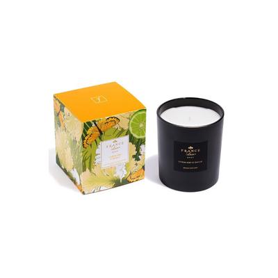 Plus Size Women's Scented Candle by France Luxe in Mimosa Mandarine (Size OS)