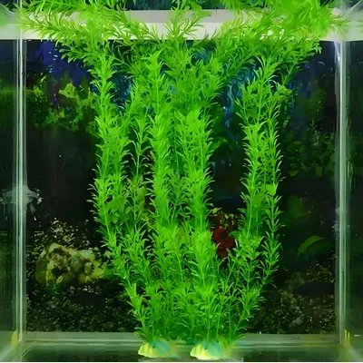 Decoration for Aquarium Plants for Aquariums Fish Tank Plants Fishbowl Aquatic Plants Aquarium Tree ZSP02