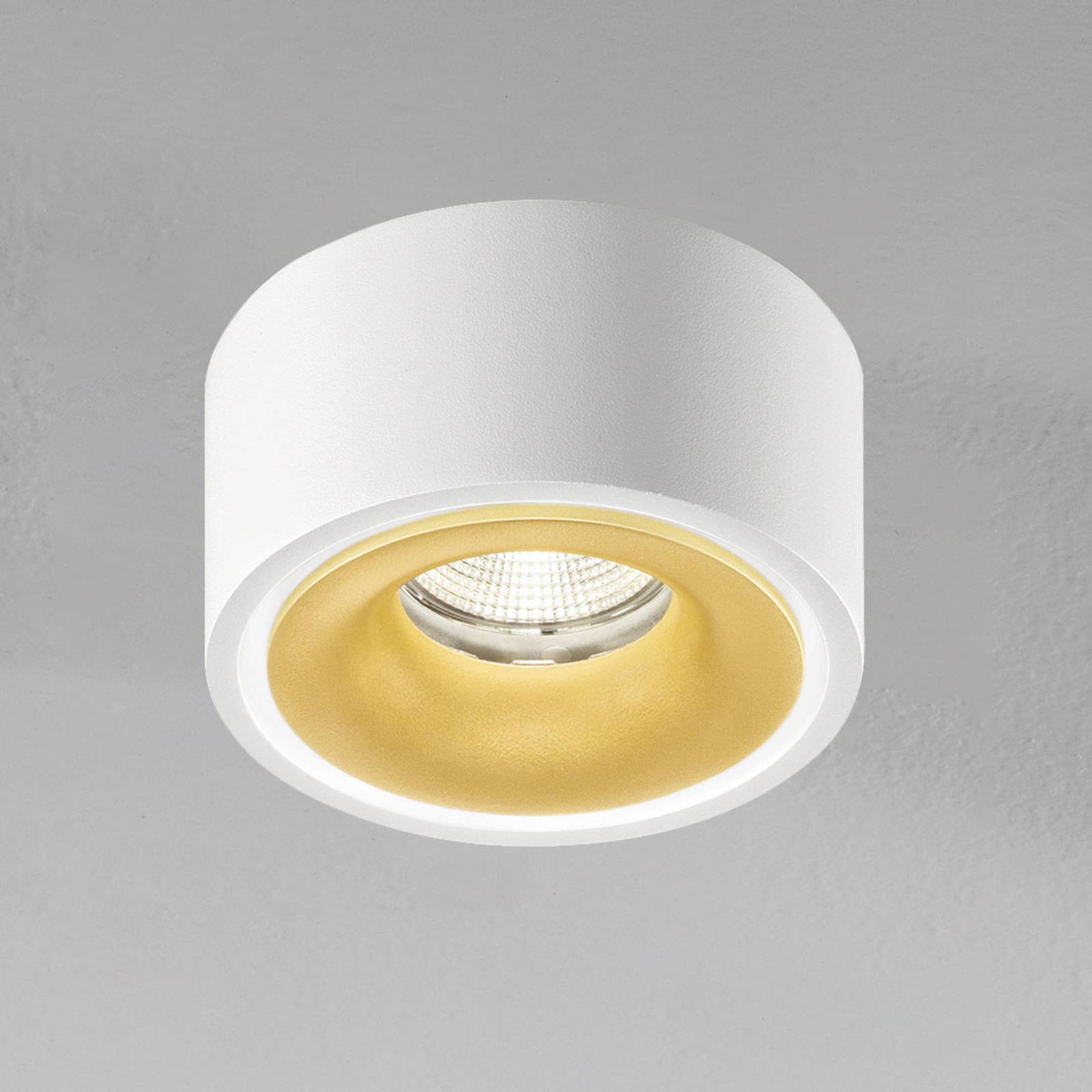 Egger Licht DLS LED-Spot Clippo EP, weiß-gold, 2.700K dimmbar, weiß / opal, für Arbeitszimmer / Büro, Aluminium, Modern, Downlights