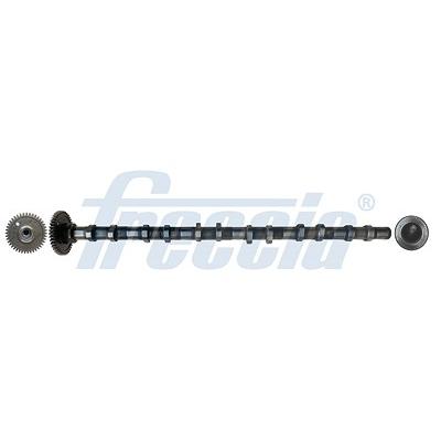 Freccia Nockenwelle [Hersteller-Nr. CM05-2355] für Alpina, BMW Image