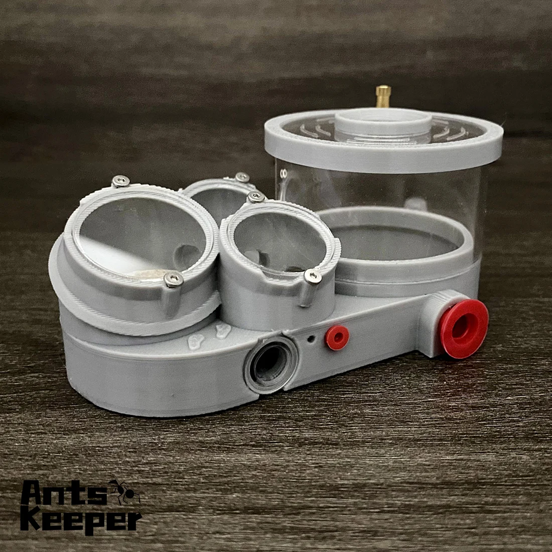 【Drei Körper】 Ameisenfarm mit Wasserspender-Stein für neue Ameisen und kleine Ameisenkolonie, Ameisenhalter, Ameisenhaussest, drei Nester