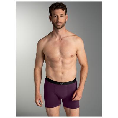 Boxer TRIGEMA "TRIGEMA Pants mit praktischem Gummibund", Herren, Gr. L, lila (aubergine), 95% Baumwolle, 5% Elastan, Unterhosen Image