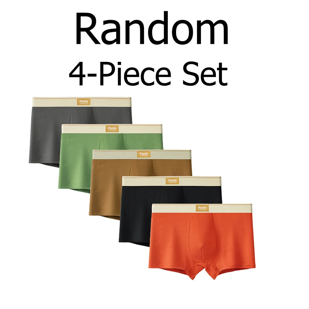 Zufälliges 4-teiliges Set aus einfarbigen Baumwoll-Boxershorts für Herren, bequeme und lässige elastische Unterwäsche, sexy Unterwäsche für Herren Image