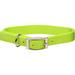 Metal Buckle Double Ply Nylon Personalized Dog Collar in Lime, 1" Width, Large/X-Large, Green