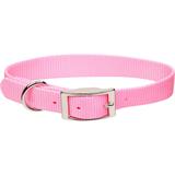 Metal Buckle Nylon Personalized Dog Collar in Bright Pink, 3/8" Width, X-Small/Small