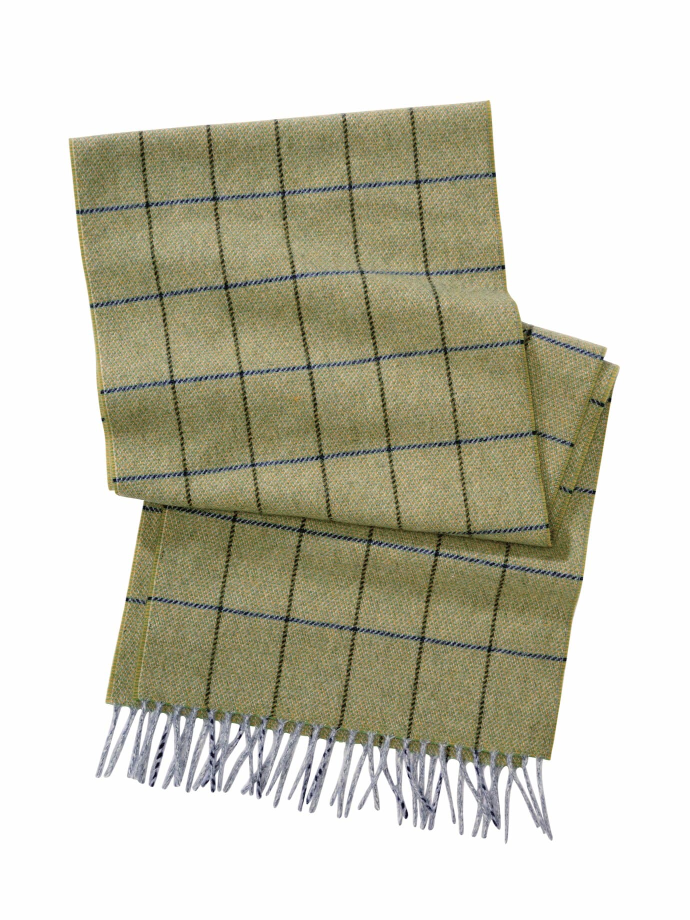 Gründer-Schal Image