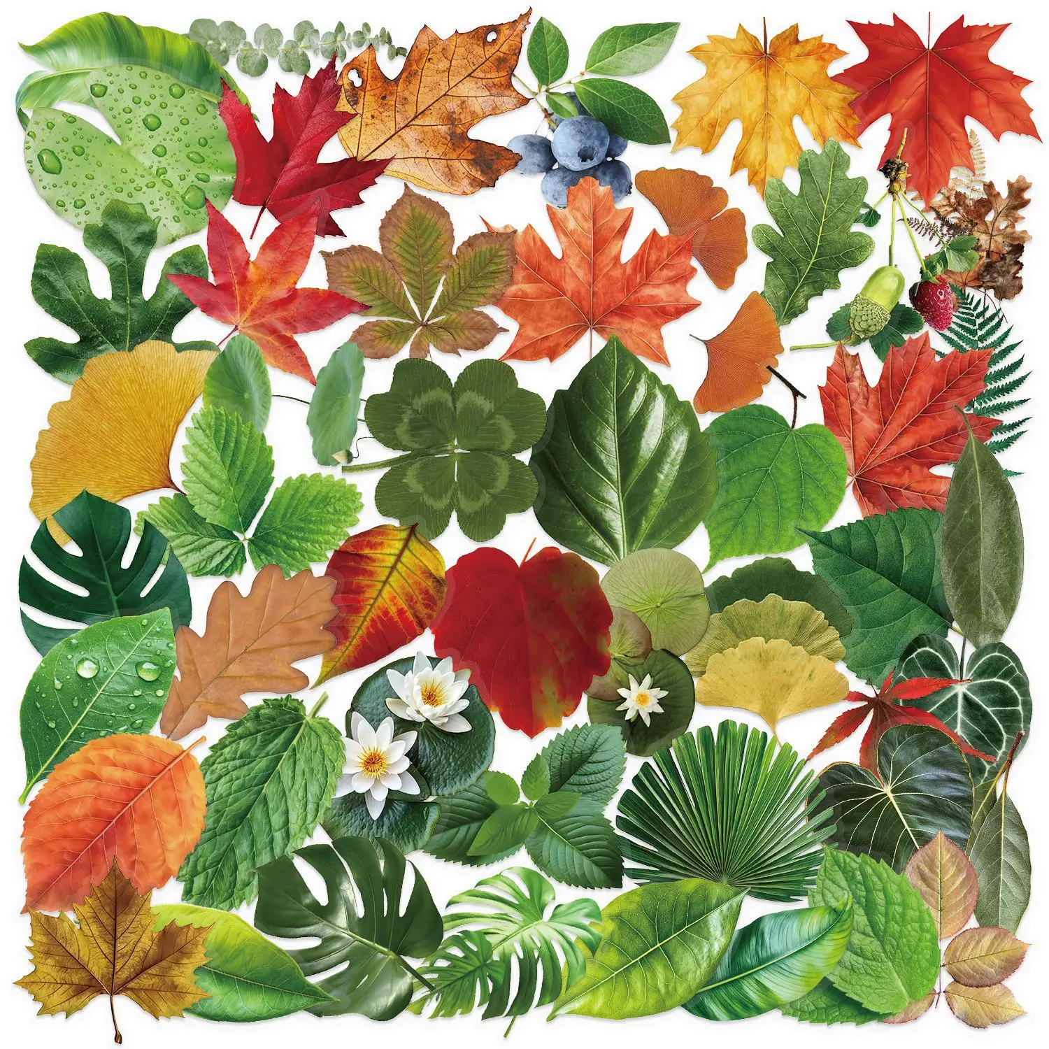 50PCS Transparent Baum Grün Blatt Aufkleber Wasserdicht Dekorative Gitarre Notebook Kinder Schreibwaren PVC Aufkleber Image