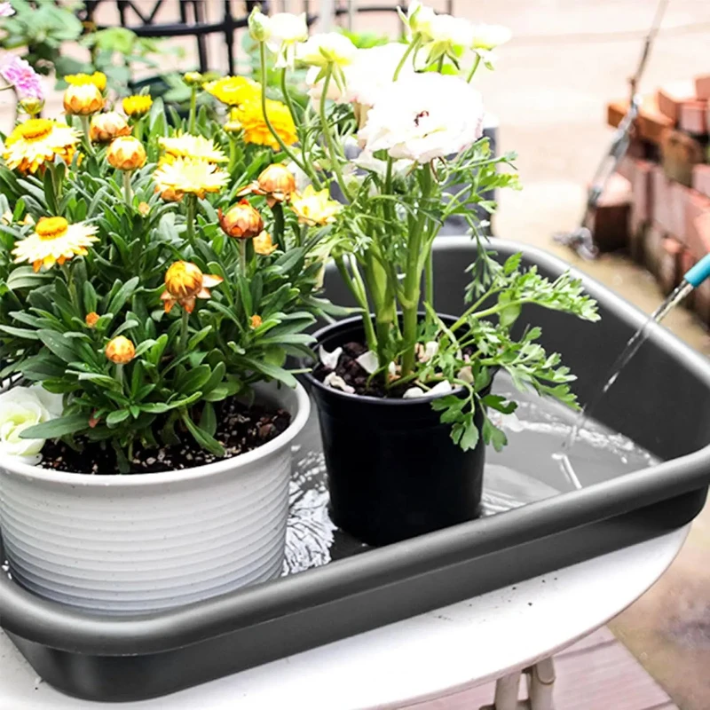 Ordentliches Topftablett für den Garten, Pflanzzubehör für die Innentransplantation, großer Sukkulentententisch Image