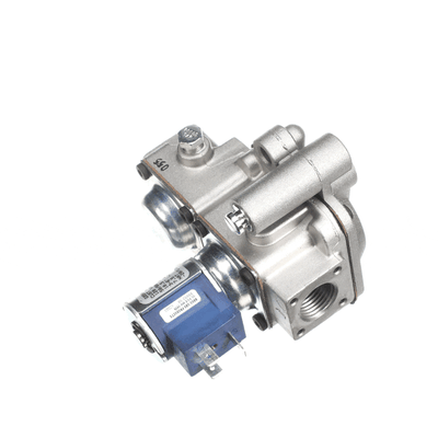 Groen Nt1747 Gas Valve - Natural Gas- Valve/Regulator (GRNT1747) Each