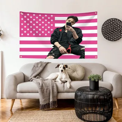 Wall Flag in Personal Design Pop Singer Room Decor Y2k Funny Flags Custom Personalized Items Outdoor Decors Home Bedrooms the