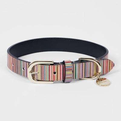 'Signature Stripe' Calf Leather Dog Collar Medium/Large - Blue - Paul Smith Belts