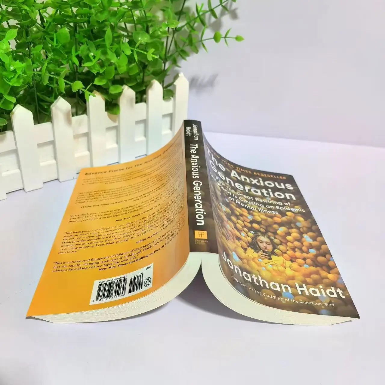 The Anxious Generation Mental Health Books Of Adolescents How The Great Rewiring Of Child-Hood Is Causing Of Mental Illness Book