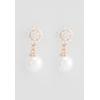 US Polo Assn Jewellery Soleil Ohrringe in Roségold