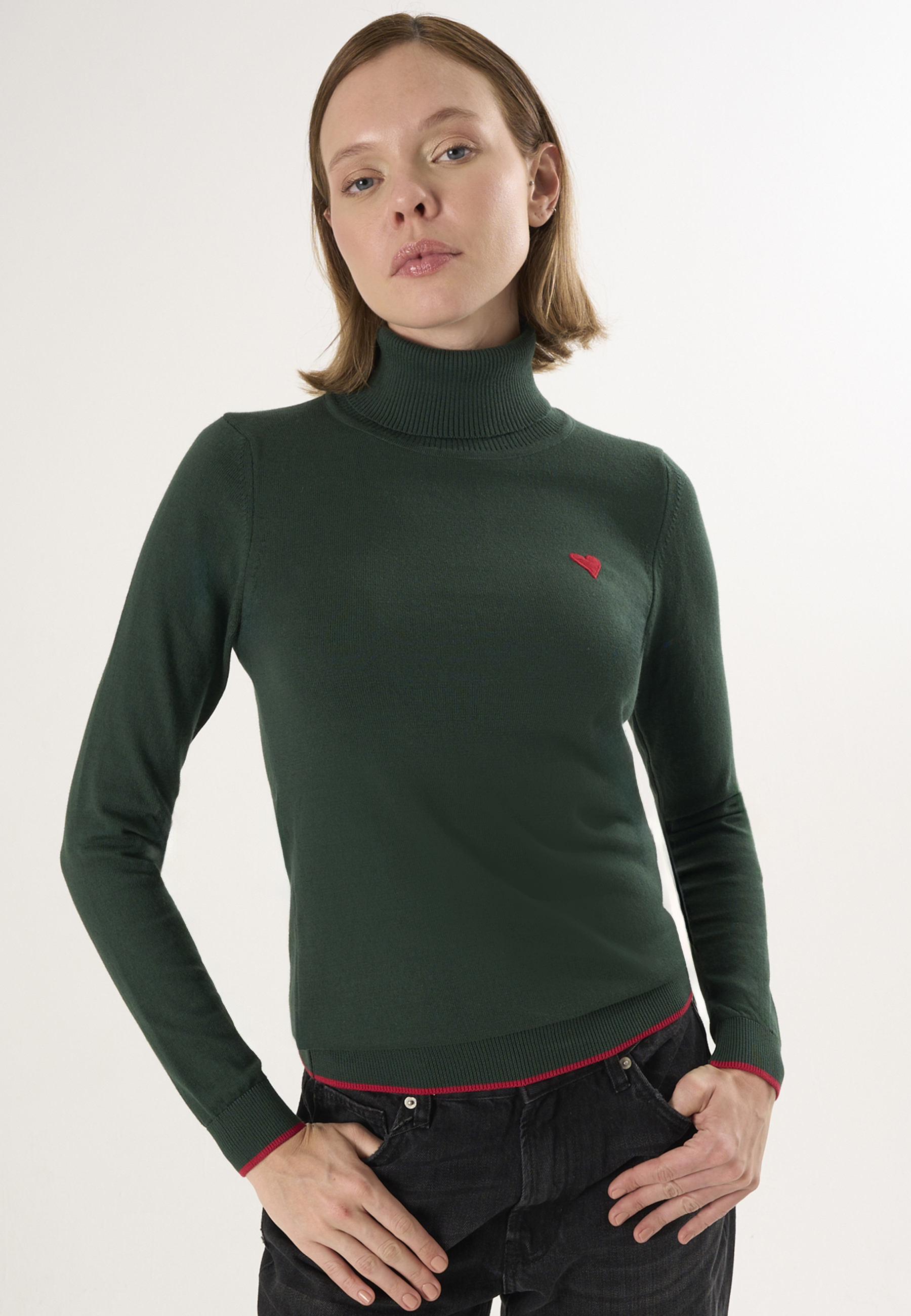 Pullover Rollkragenpullover Image