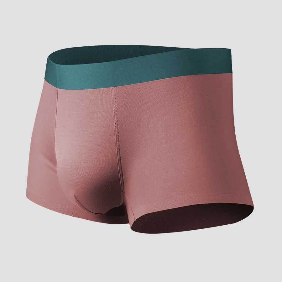 Nahtlose Herren-Unterwäsche aus Eisseide, hochwertige doppelseitige Boxershorts, bequeme, dünne Sommer-Boxershorts für Jungen Image