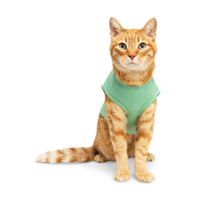 YOULY Dream Big Cat T-Shirt, Large/X-Large