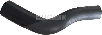 Bugiad Ladeluftschlauch [Hersteller-Nr. 88630] für Fiat Image