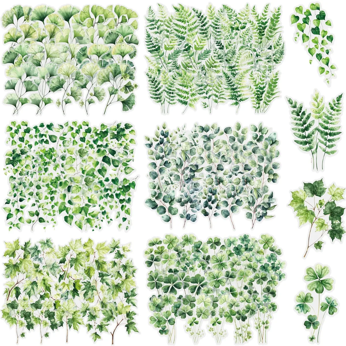 20 Stück PET-Blatt-Aufkleber, botanische Journaling-Aufkleber, DIY-Scrapbooking-Zubehör, selbstklebend für Tagebücher, Scrapbooking Image