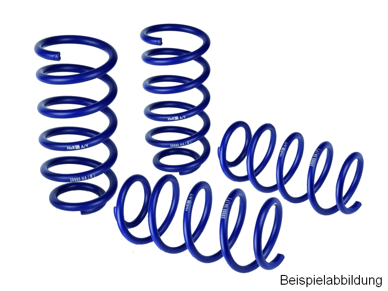H&R Fahrwerksatz, Federn Sportfedersätze/Performance Lowering Springs für VW 29540-4 Image